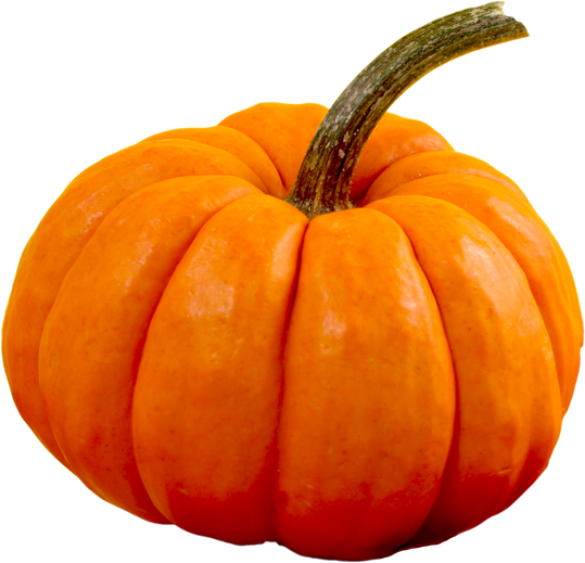 Orange Pumpkin Cutout 