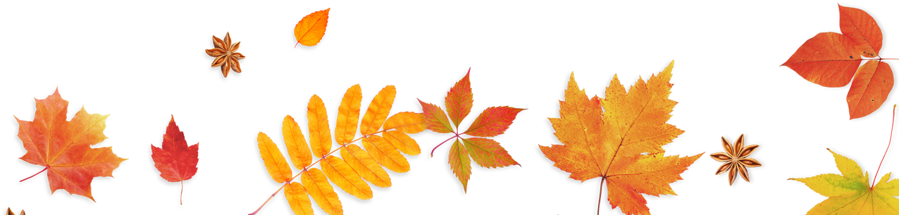 Autumn Leaves Cutout